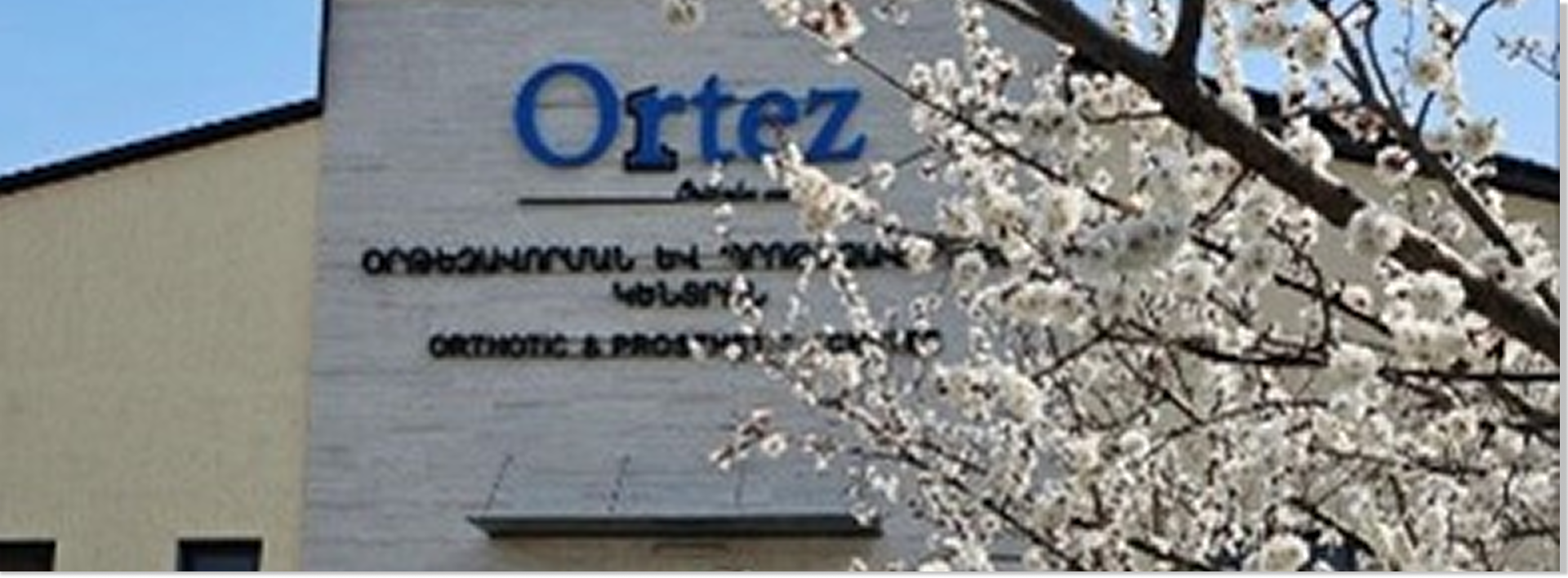 «ՕՐԹԵԶ» ՕՐԹԵԶԱՎՈՐՄԱՆԵՎ ՊՐՈԹԵԶԱՎՈՐՄԱՆ  ԿԵՆՏՐՈՆ